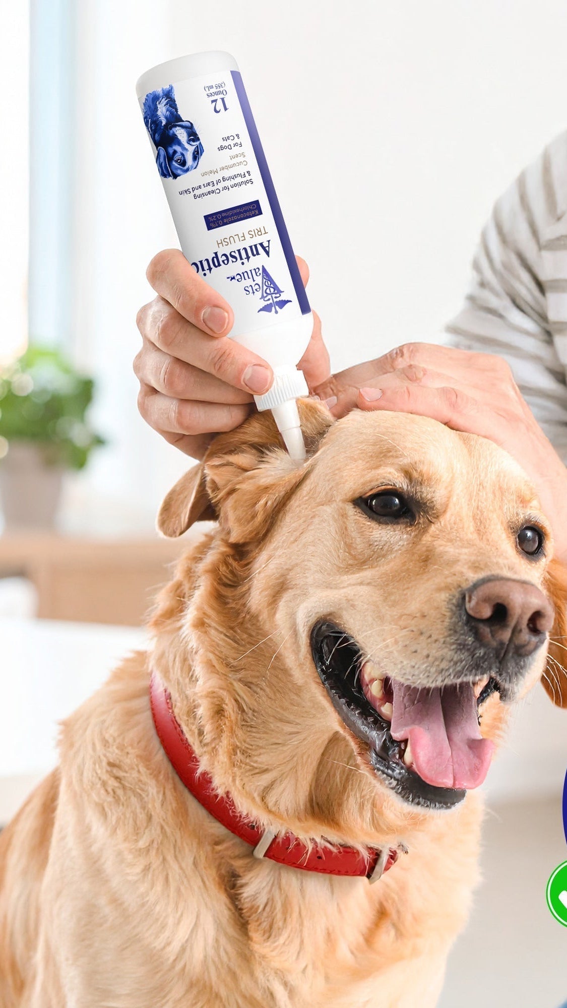 Veterinary Ear Flush for Dogs and Cats 12oz (XL 355ml Bottle) - Clear Therapy Cleaner Alcohol-Free, Itch-Relief Yeast Infections, Supports Healthy Canals - Optimized Solution Dog Washing, White/Clear